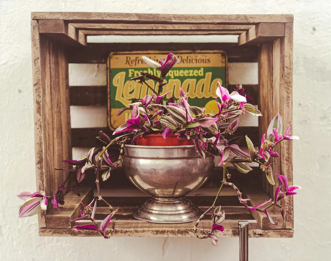 Villa La Casa De La Chicha à Mendoza Hébergement de vacances